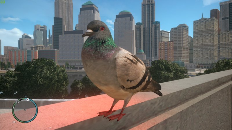 GTA 4 High Quality Pigeons Mod  GTAinside.com